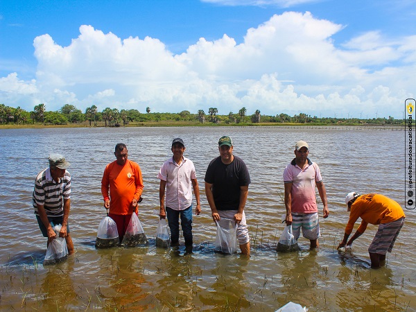 93 mil alevinos foram entregues em Aracati, batendo recorde de peixamento